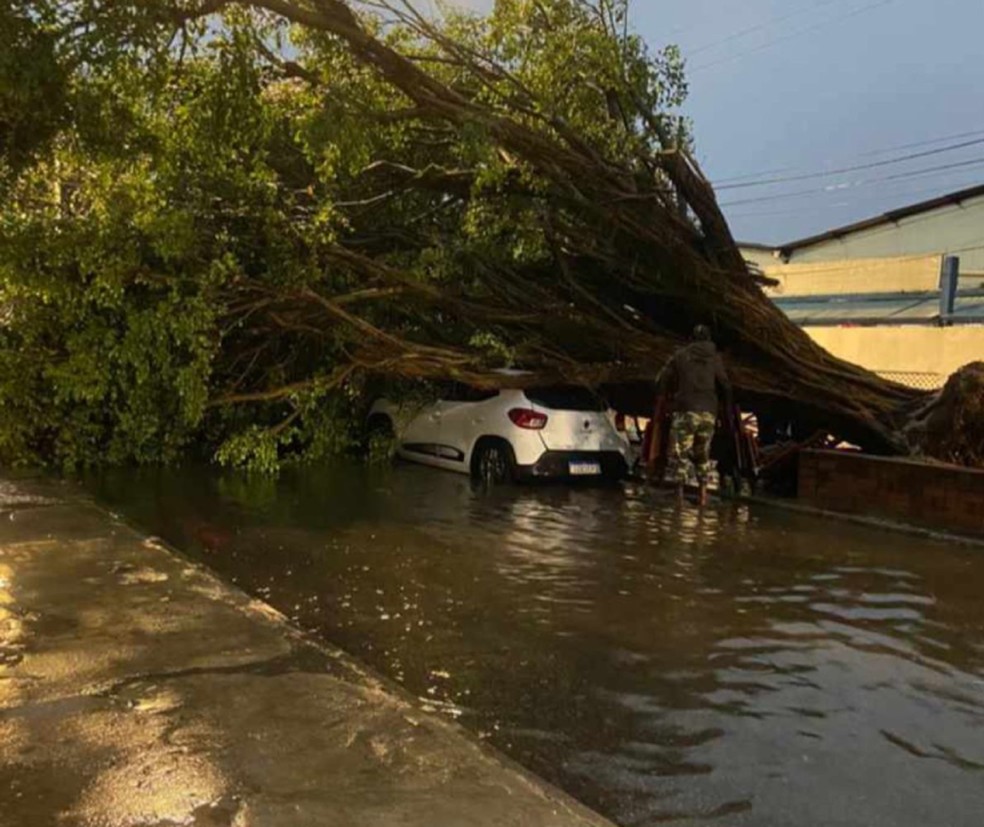 Árvore cai em cima de carro na Ribeira, em Salvador — Foto: Reprodução/Redes Sociais