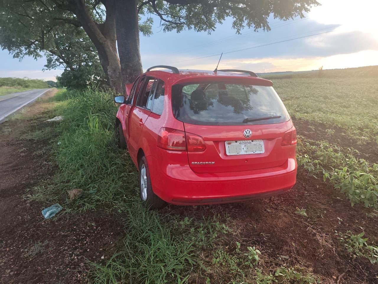 Capivara invade rodovia, motorista perde controle e bate carro em árvore na MGC‑154