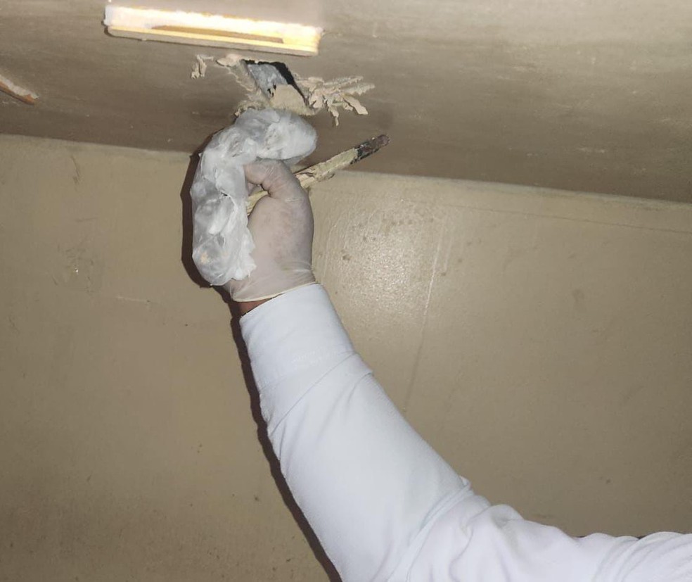 Porções de maconha embaladas e prontas para o tráfico no presidio foram achadas dentro de um buraco sob a cama de alvenaria — Foto: Ascom-PCBA