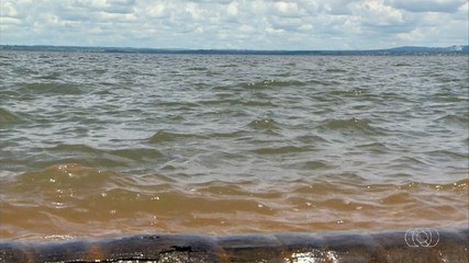 ICMS Ecológico: saiba como gestores municipais podem aderir a essa modalidade