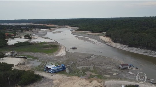 Estudo inédito revela como o clima extremo transforma a floresta - Foto: (Jornal Nacional/ Reprodução)
