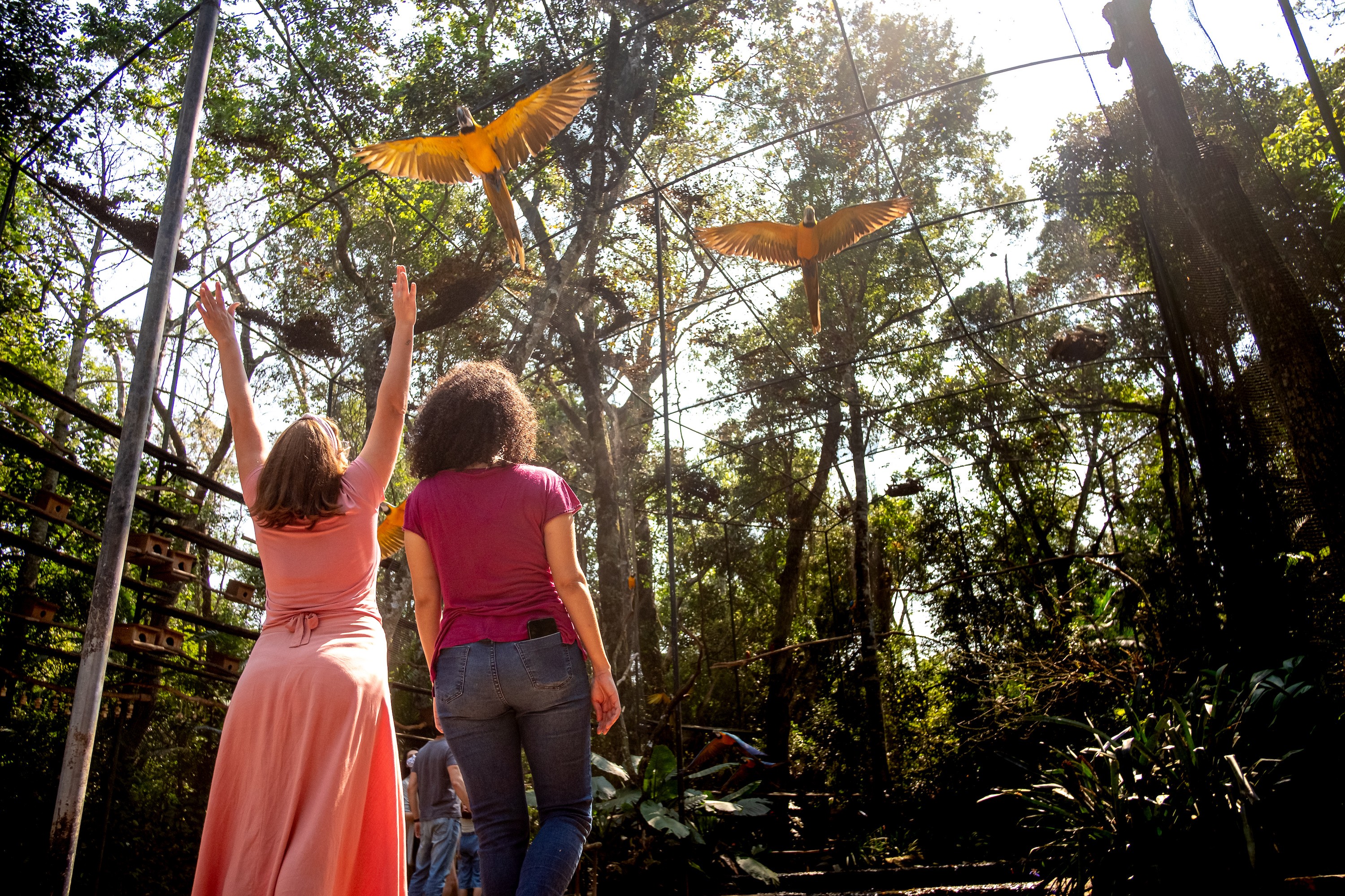 Viagem econômica a Foz do Iguaçu: dicas para viajar sem gastar muito