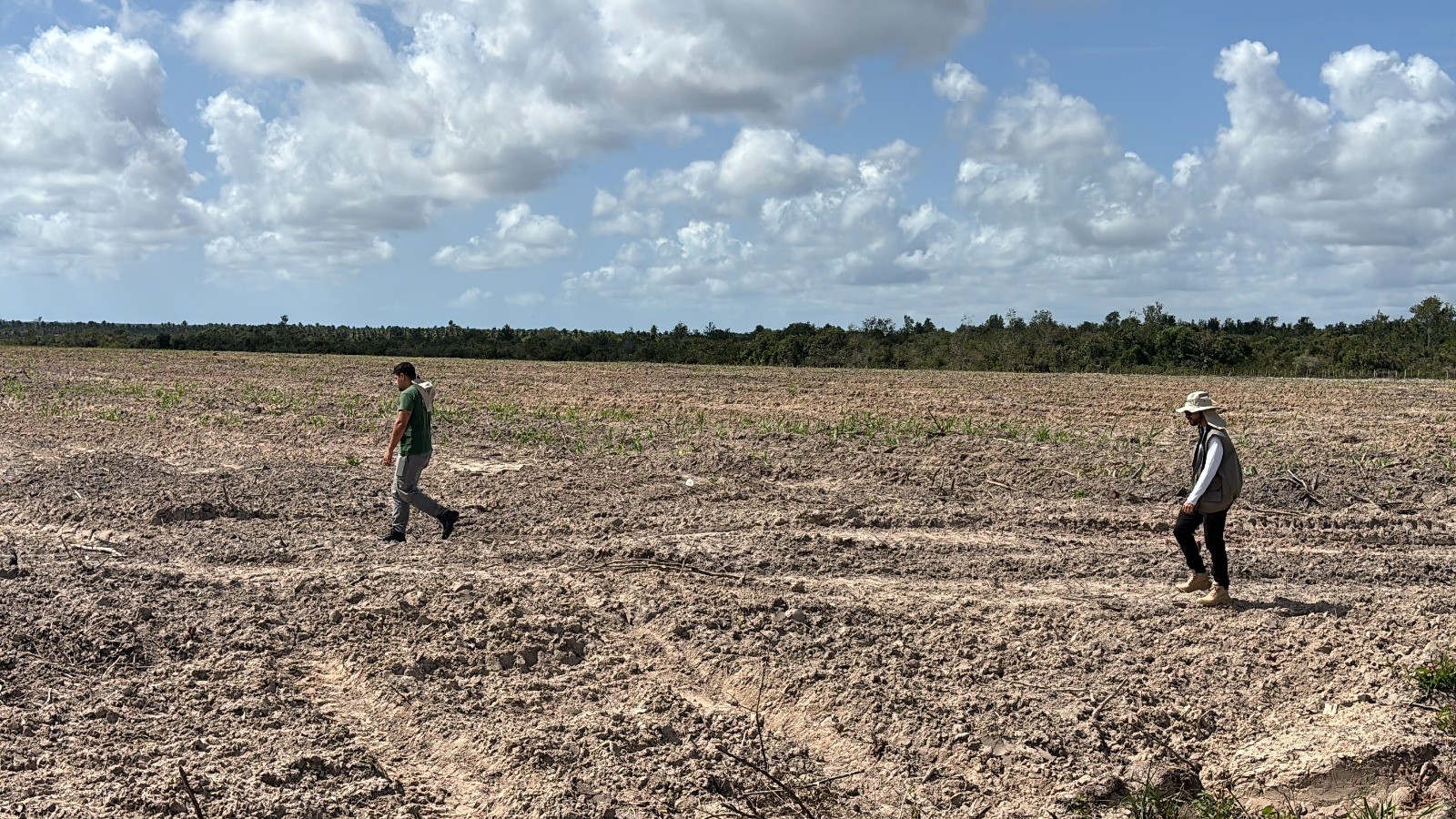 Operação identifica 31 hectares de desmatamento ilegal em Mata Atlântica no RN