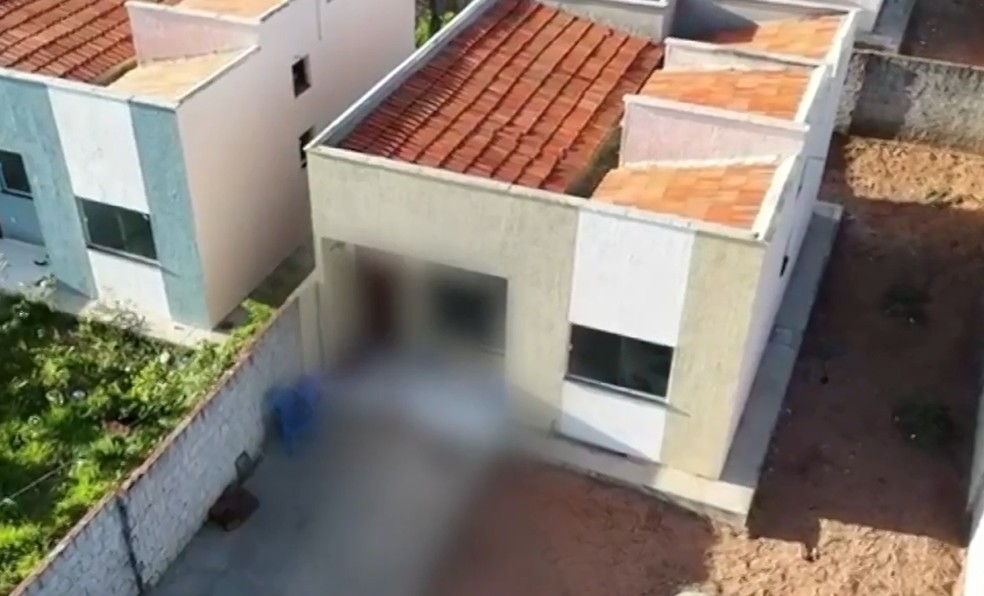 Ataque aconteceu em terreno — Foto: Kleber Teixeira/Inter TV Cabugi