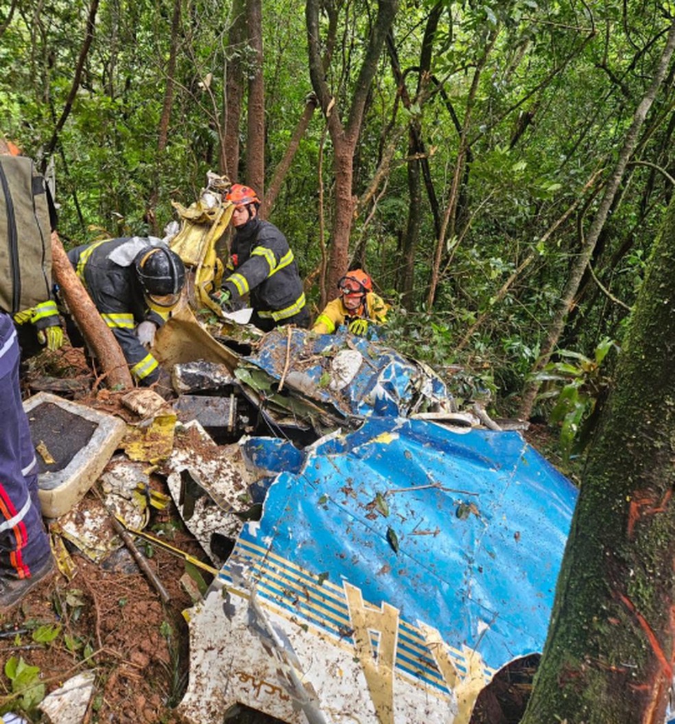 Queda de avião matou dois empresários na Grande São Paulo — Foto: Divulgação/Corpo de Bombeiros