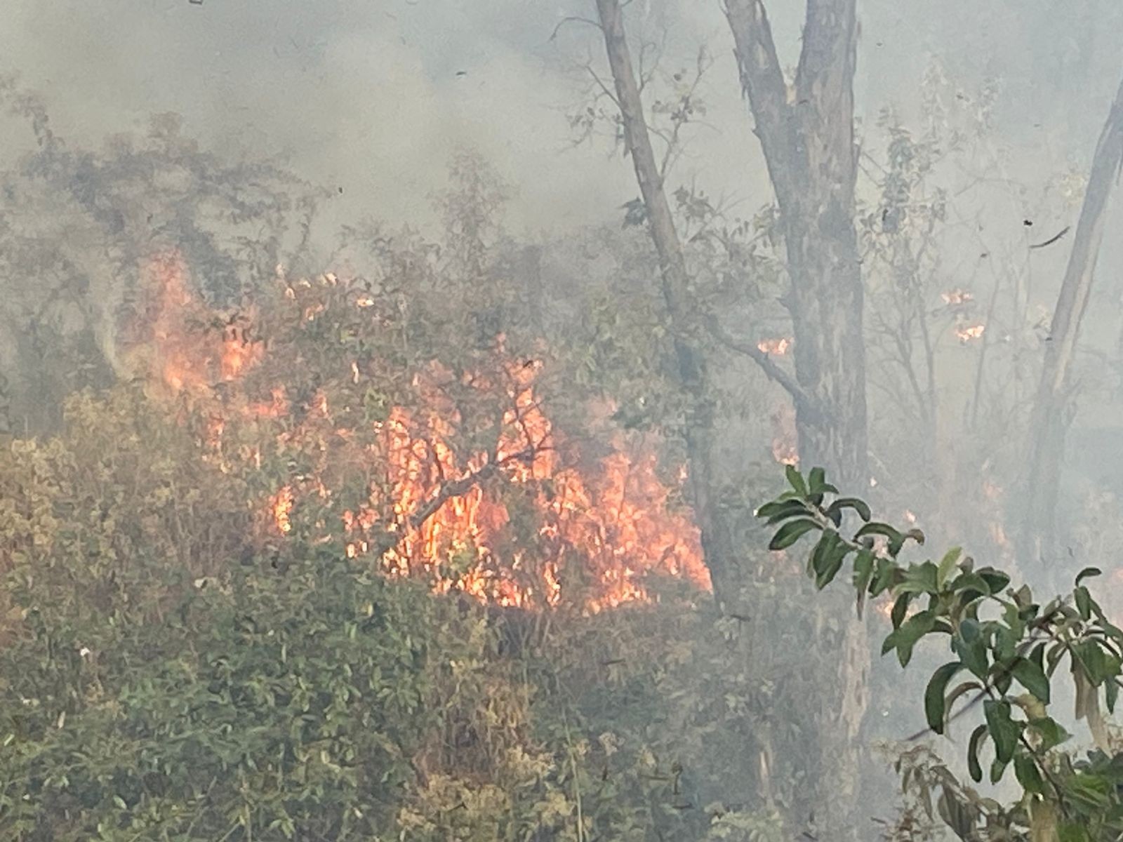 Incêndio em mata mobiliza moradores em Piracicaba