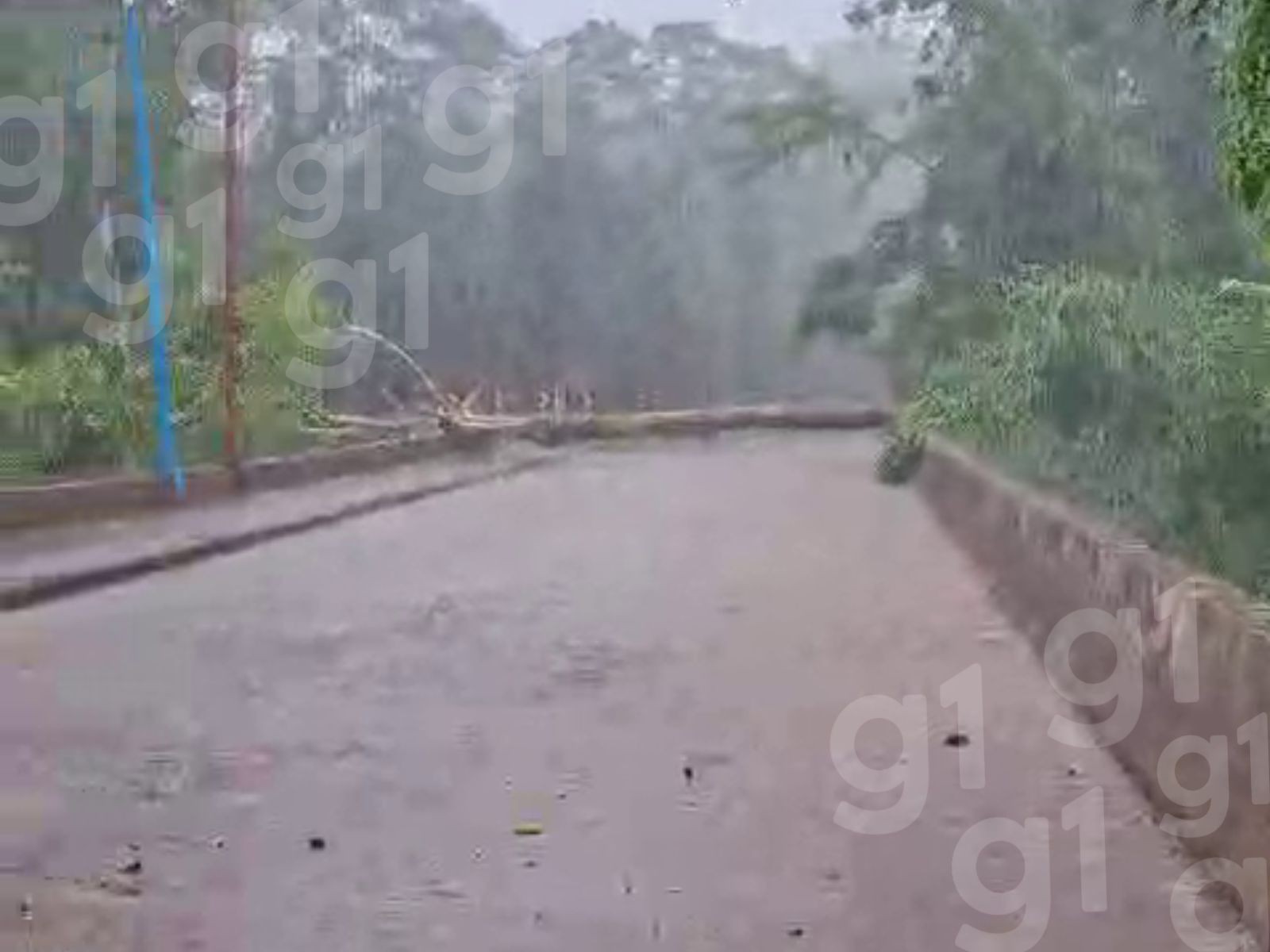 
Durante tempestade, árvore cai em cabeceira de ponte e bloqueia trânsito em Rio Branco