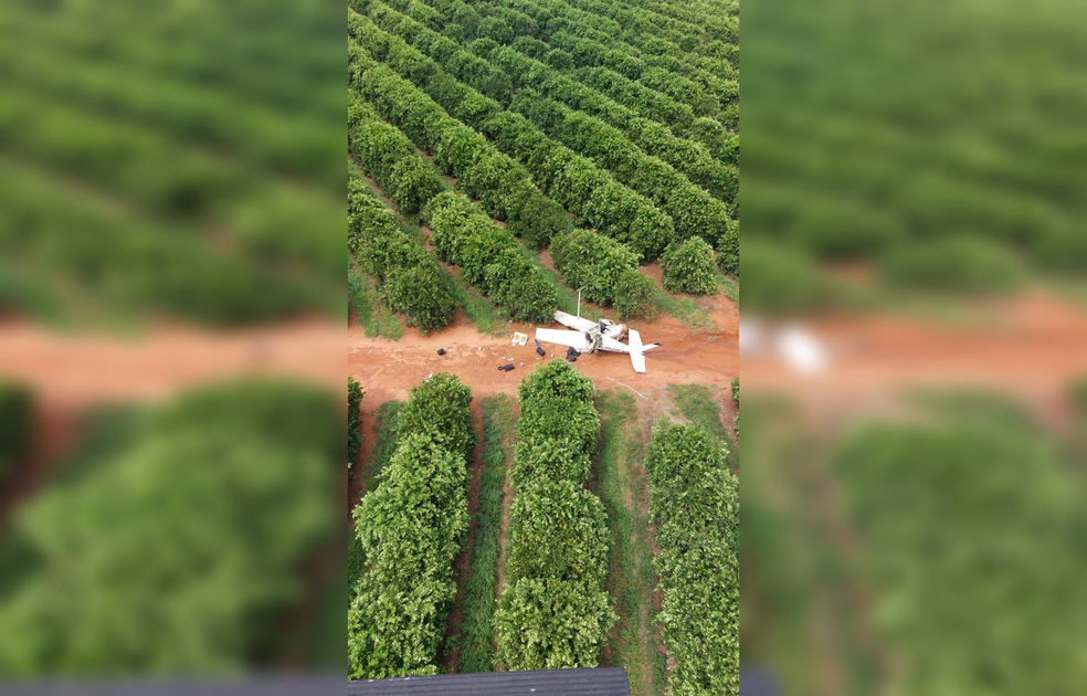 Avião ficou destruído durante pouso forçado em meio a plantação em Santa Cruz do Rio Pardo (SP) — Foto: Força Aérea Brasileira/Divulgação