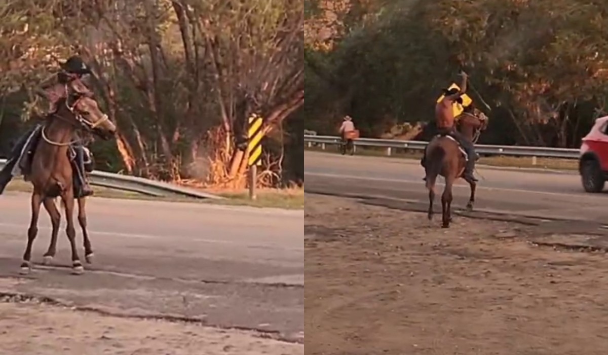 Você Não Tá Convidada pro Meu Bat Mitzvá!