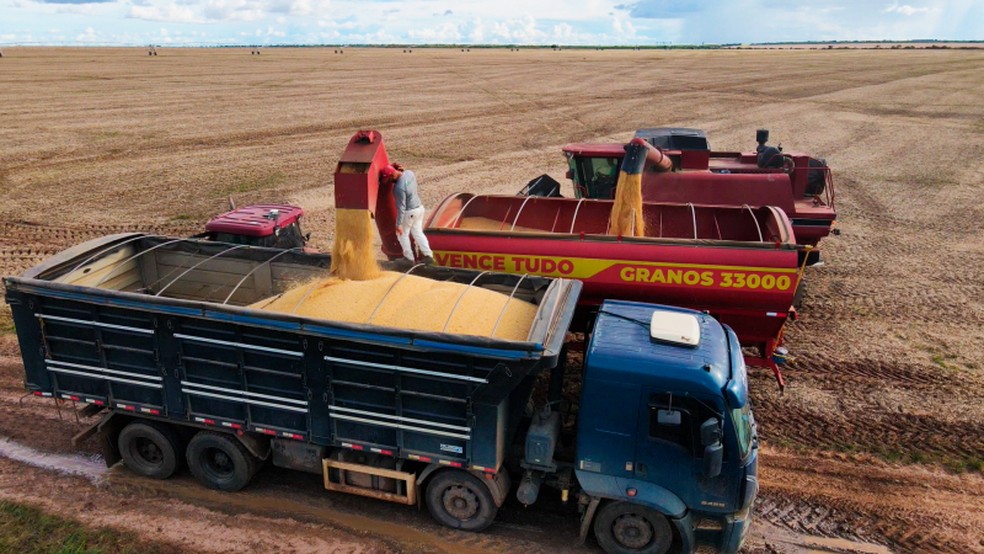 Produção de soja é líder de exportações na Bahia — Foto: Divulgação/Aiba