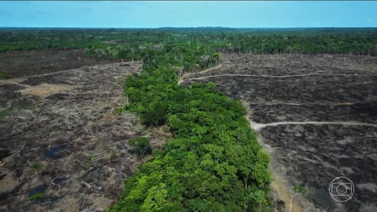 
O desafio de manter profissionais da medicina na Amazônia