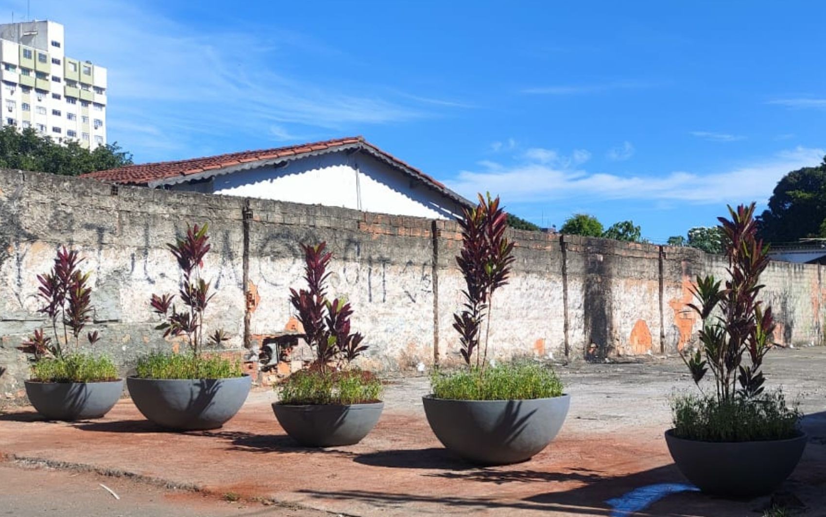 Após casa onde houve acidente com Césio-137 virar estacionamento, vasos de plantas são instalados para evitar entrada de carros; vídeo 