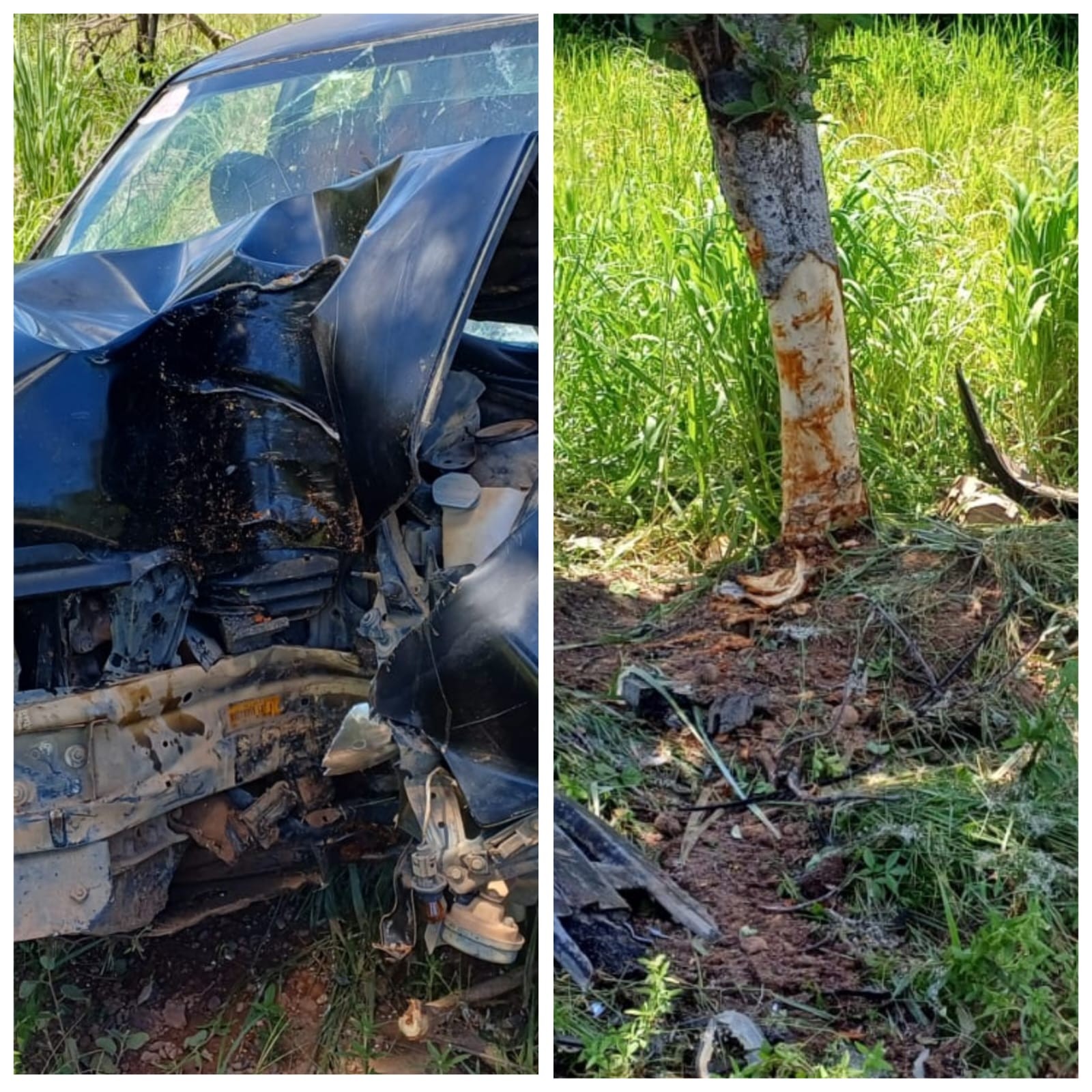 Cinco pessoas ficam feridas após motorista ser 'fechado' por carreta durante ultrapassagem e carro atingir árvore