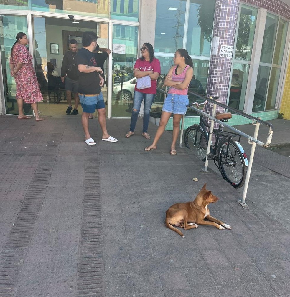 Cachorro esperava pelo tutor na porta da unidade h 9 dias. Esprito Santo — Foto: Divulgao/Prefeitura de Viana