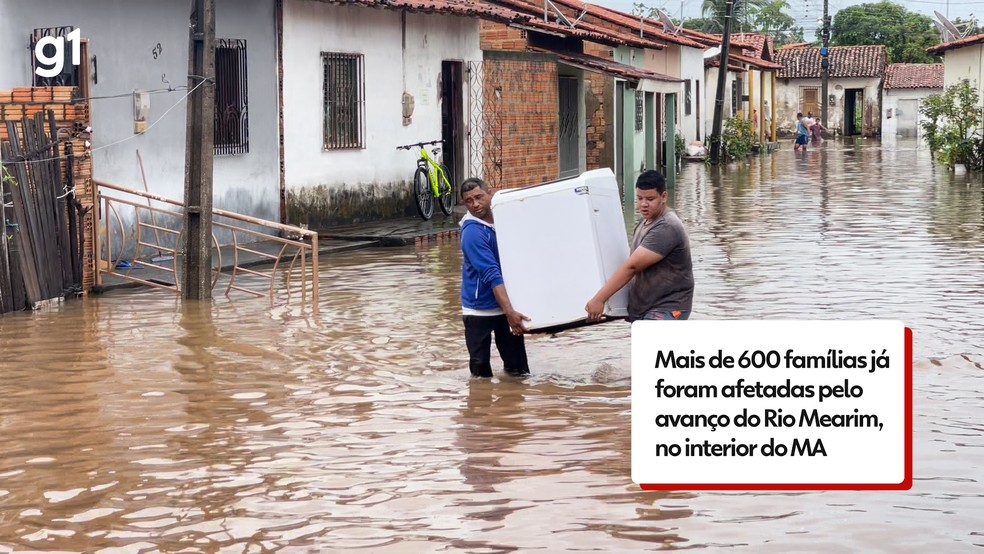 Rio Mearim sobe mais de 44 cm em 24 horas e afeta mais de 600 famílias em Pedreiras no MA — Foto: Arte/g1