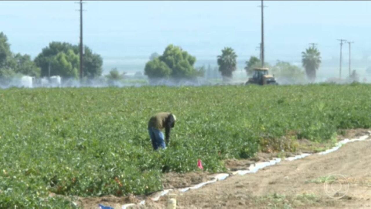 Projeto de lei prevê status legal a alguns imigrantes nos EUA; veja quem poderá ser beneficiado