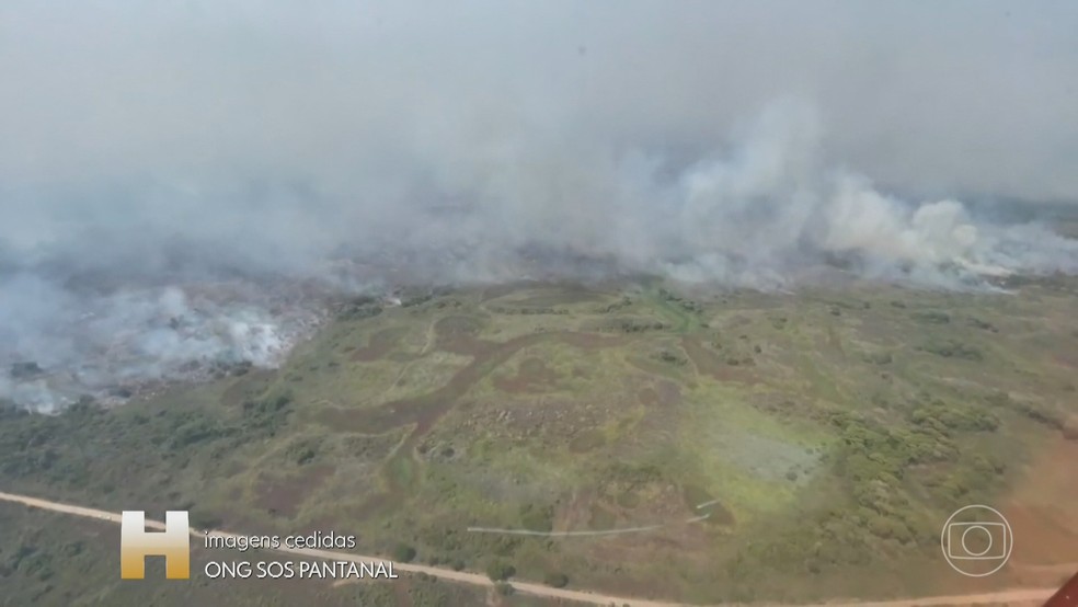 Pantanal atingiu um milhão de hectares queimados em 2023 até agora, o triplo do registrado em 2022. — Foto: Reprodução/Jornal Hoje