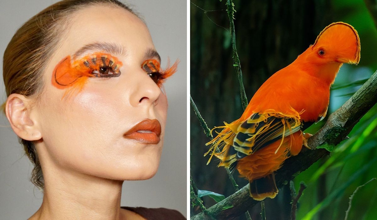 VÍDEO: Maquiadora viraliza ao 'se transformar' em aves brasileiras; incluindo raridades