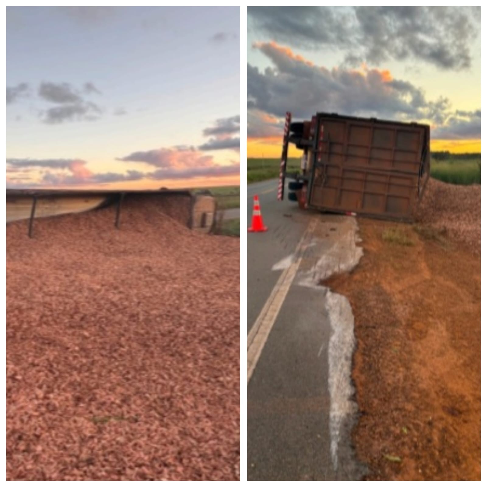 Caminhão carregado com cavacos de madeira tomba na MGC-479