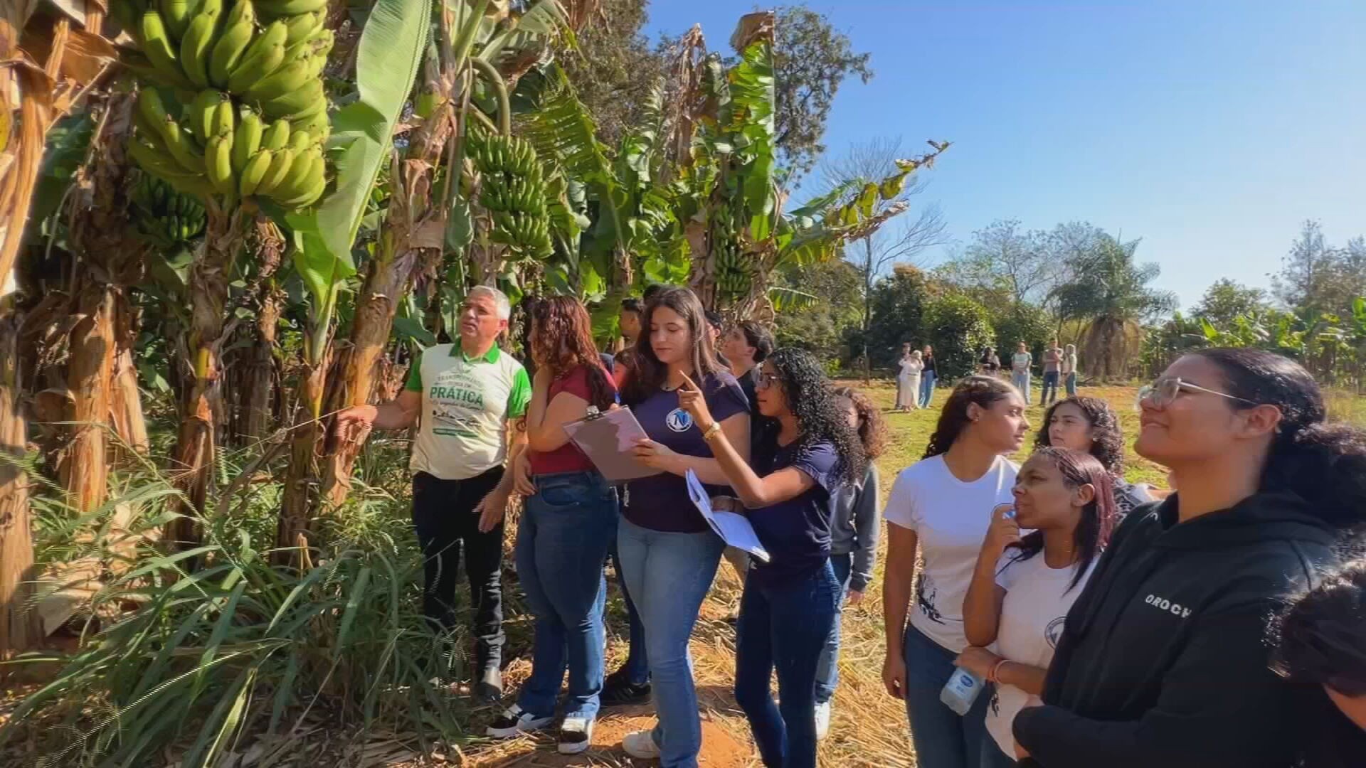 Os segredos do campo: projeto leva alunos de Promissão a vivenciar rotina no campo