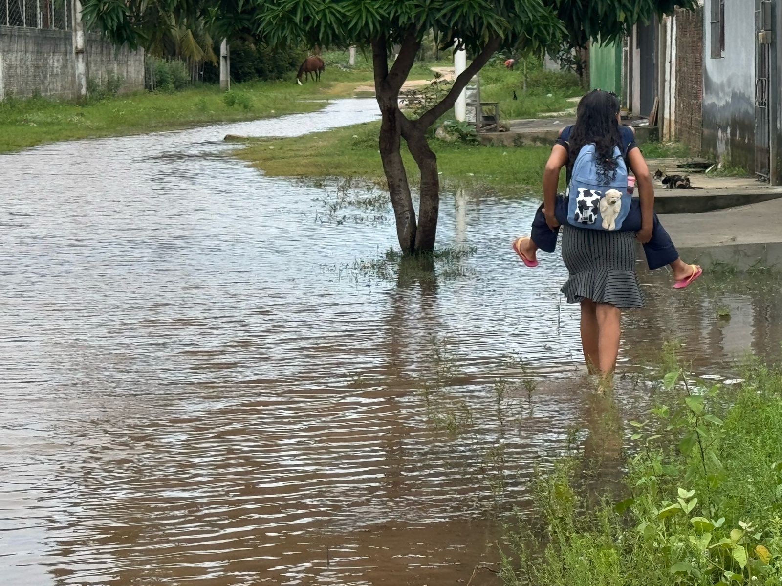 Cavaco Chinês: comunidade na Zona Norte de Natal volta a alagar após chuvas