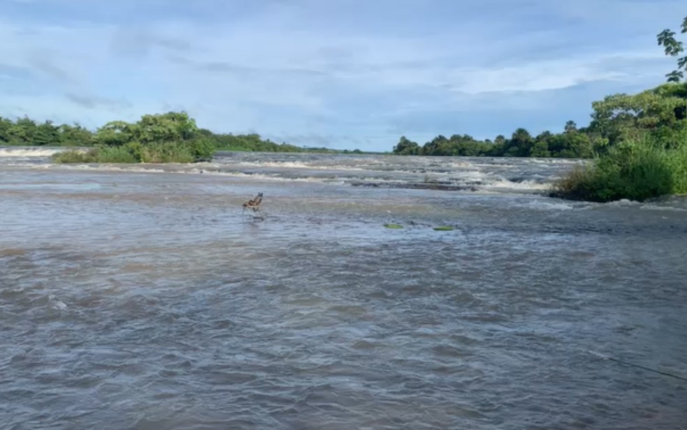Rio Verdão pode chegar a três metros de profundidade, Goiás — Foto: Reprodução/TV Anhanguera