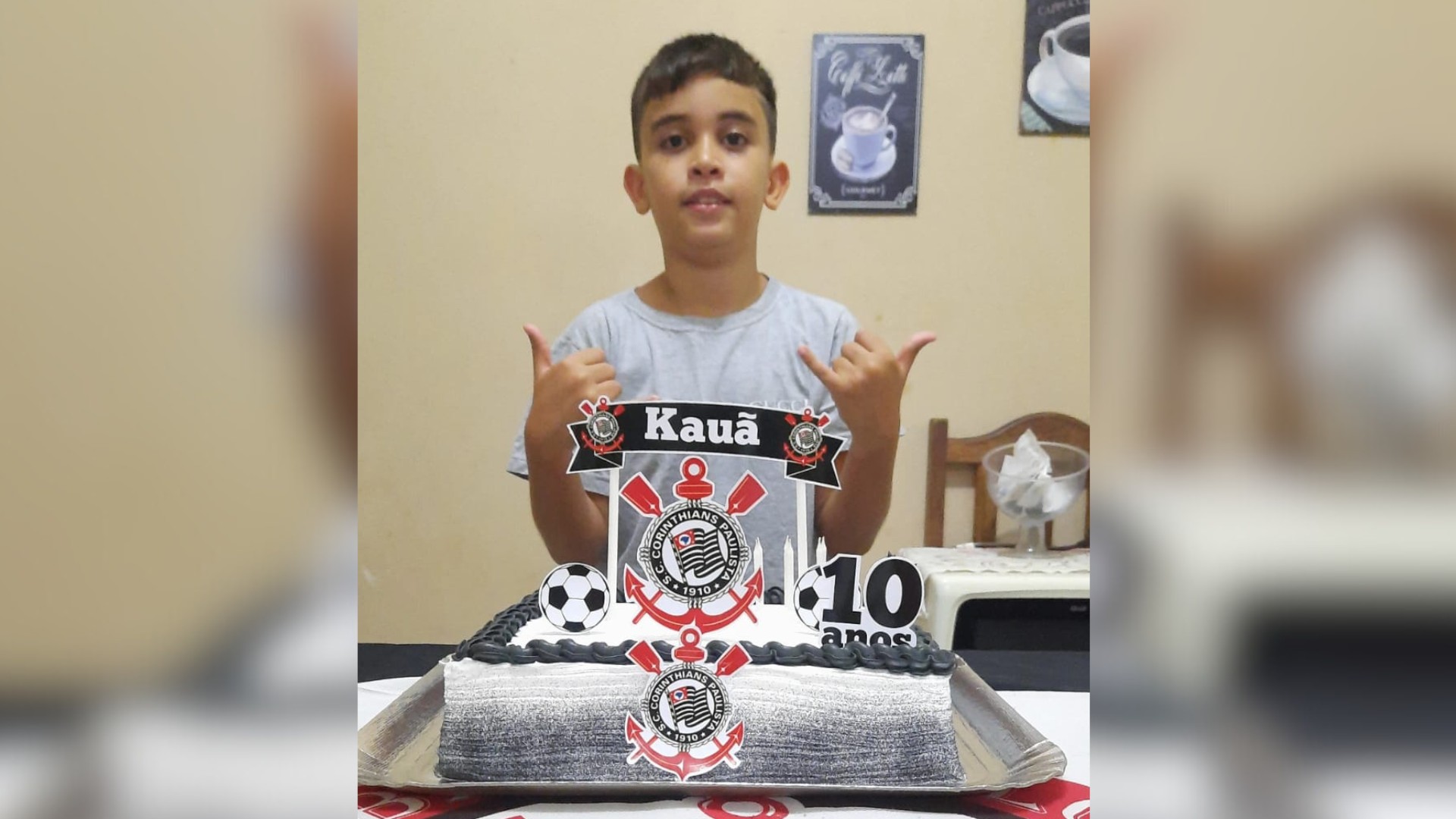 Menino de 10 anos morre após ser picado por escorpião no interior de SP