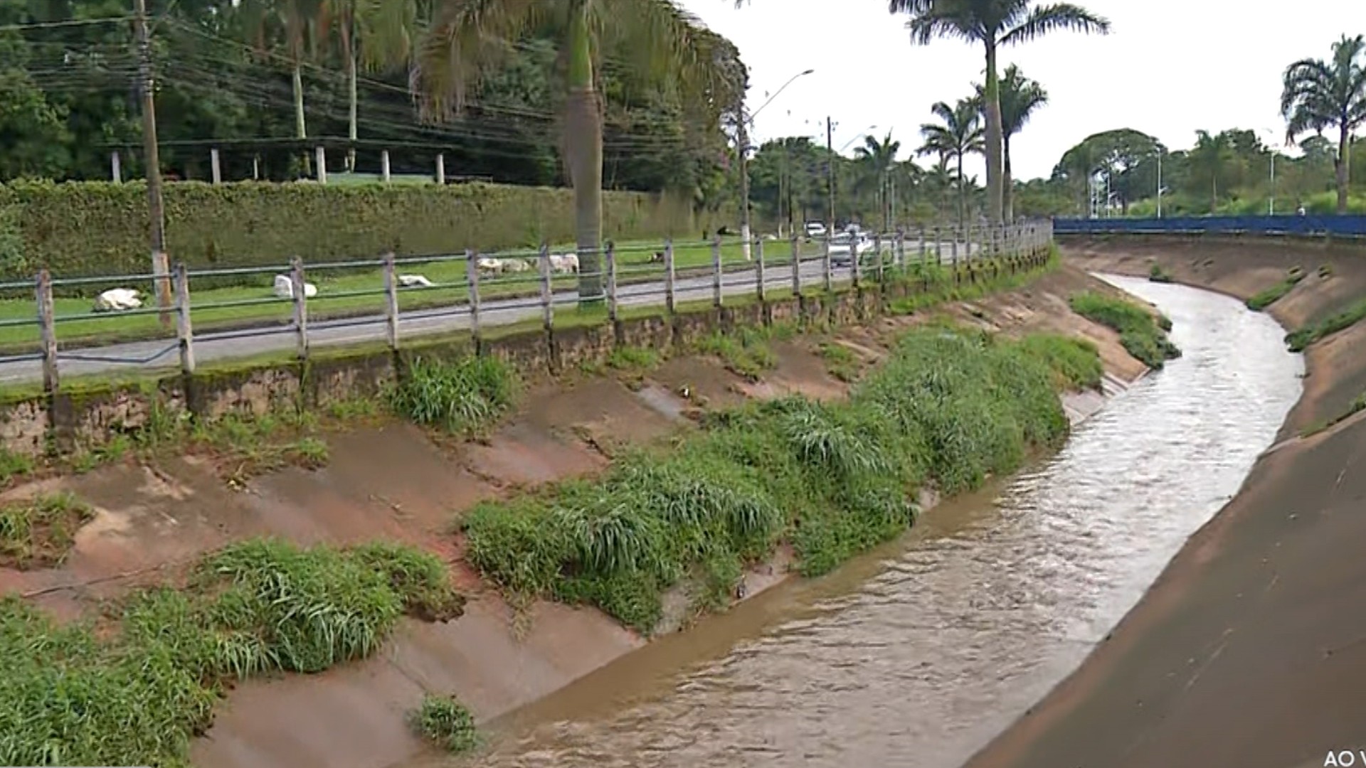 Você Não Tá Convidada pro Meu Bat Mitzvá!