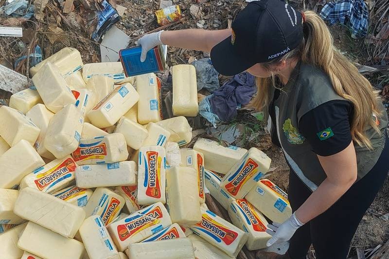 Carga de 462 quilos de queijo clandestino é apreendida em Ipixuna do Pará