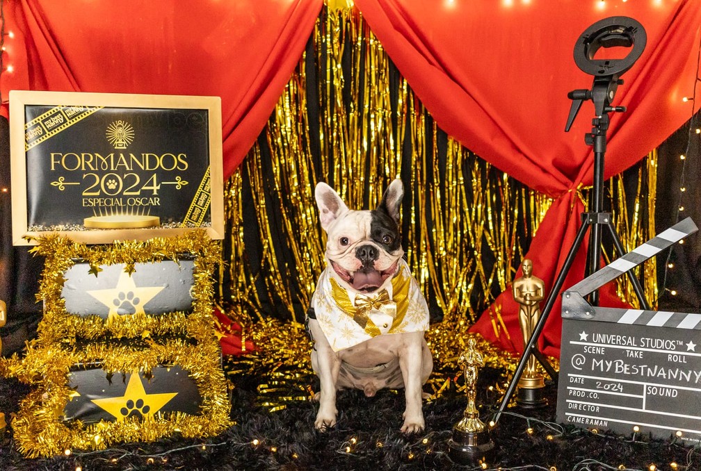 Cães participaram de ensaio de formatura — Foto: Amany Mourtada