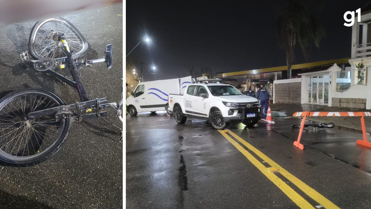 Câmera flagra momento em que ciclista é atropelado enquanto passeava com cachorro no RS; os dois morreram