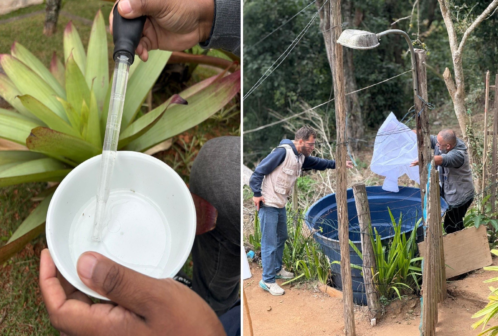 Petrópolis registra o menor índice de 2025 para infestação pelo mosquito Aedes Aegypti