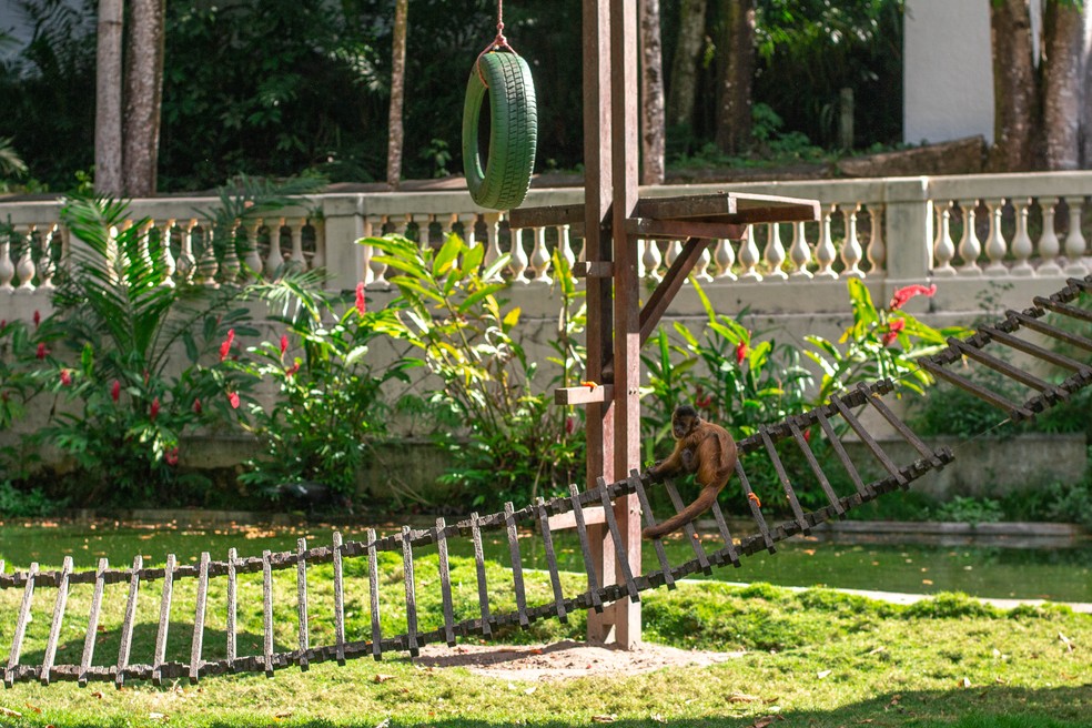 Parque Arruda Câmara - Bica em João Pessoa — Foto: João Lira/Arquivo Pessoal