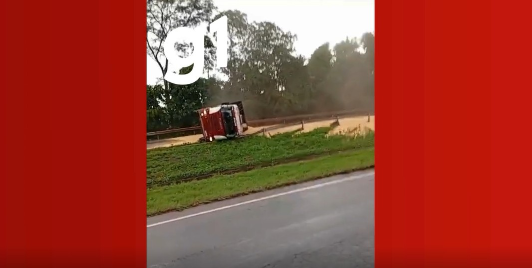 Carreta tomba e deixa cerca de 50 toneladas de milho espalhadas em rodovia de MT