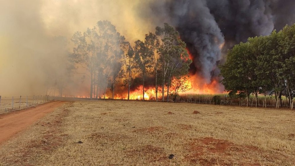 Com altas temperaturas, noroeste paulista volta a registrar focos de incêndio na sexta-feira