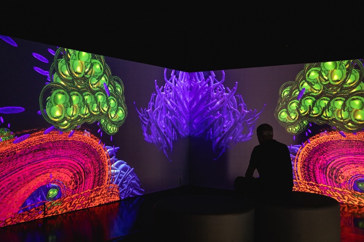 Rio inaugura galeria de arte criada e exposta através do uso de ...