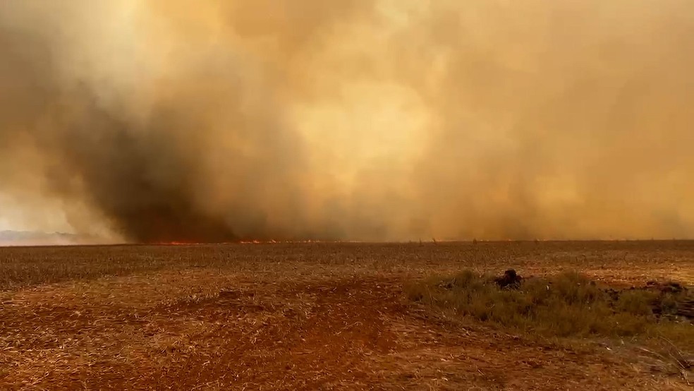 Incêndio em propriedades rurais no Distrito de Buritirana, em Palmas — Foto: Wilton Medeiros/TV Anhanguera
