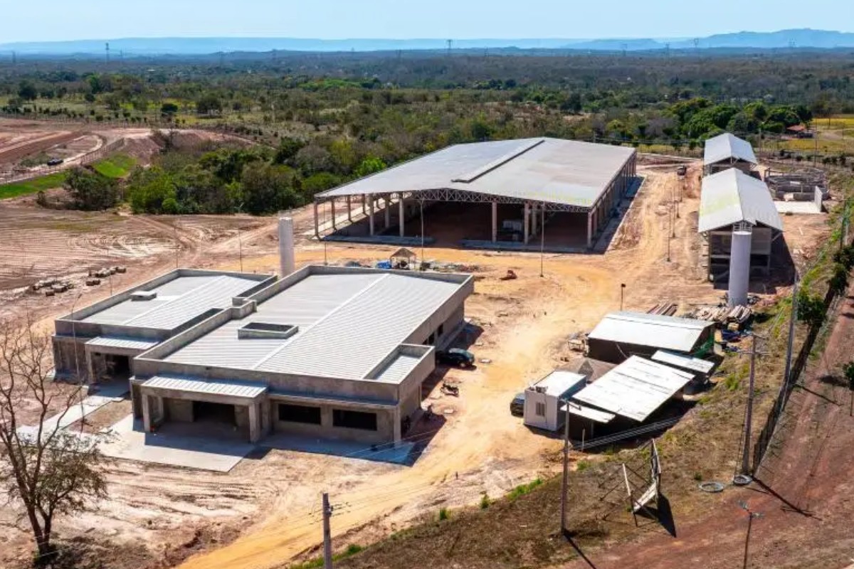 Ingressos para shows de Gusttavo Lima e Alok são disponibilizados gratuitamente; veja como retirar 