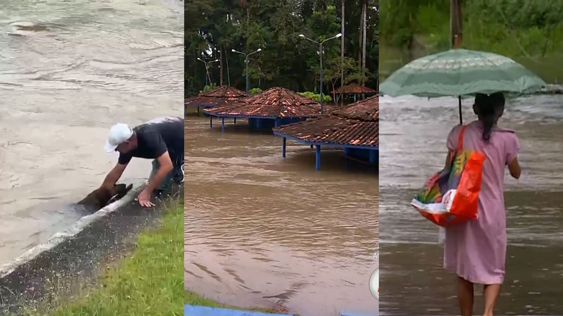 Temporal provoca alagamentos em Castanhal, interdita estrada e arrasta cachorro na correnteza