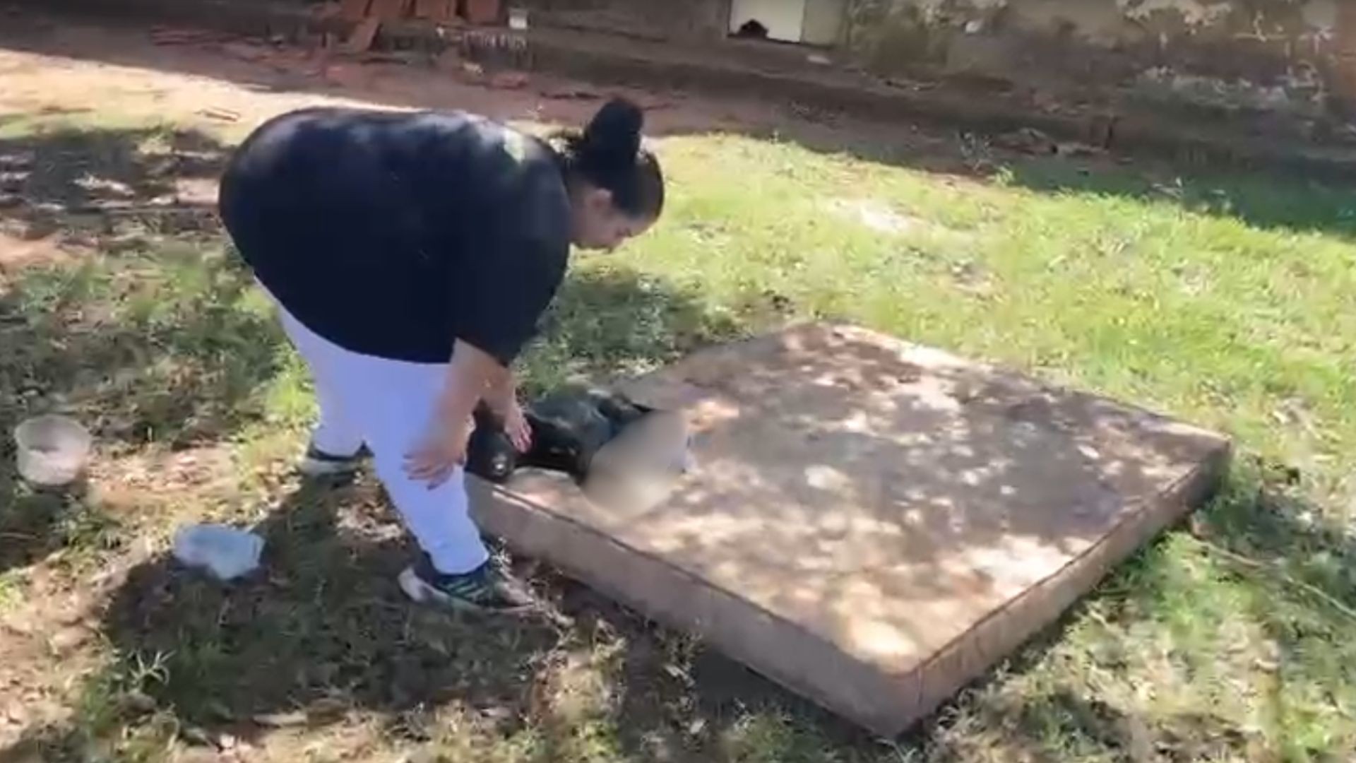 Homem preso suspeito de cortar perna de cachorro com faca de cozinha é liberado e recebe multa de R$ 6 mil