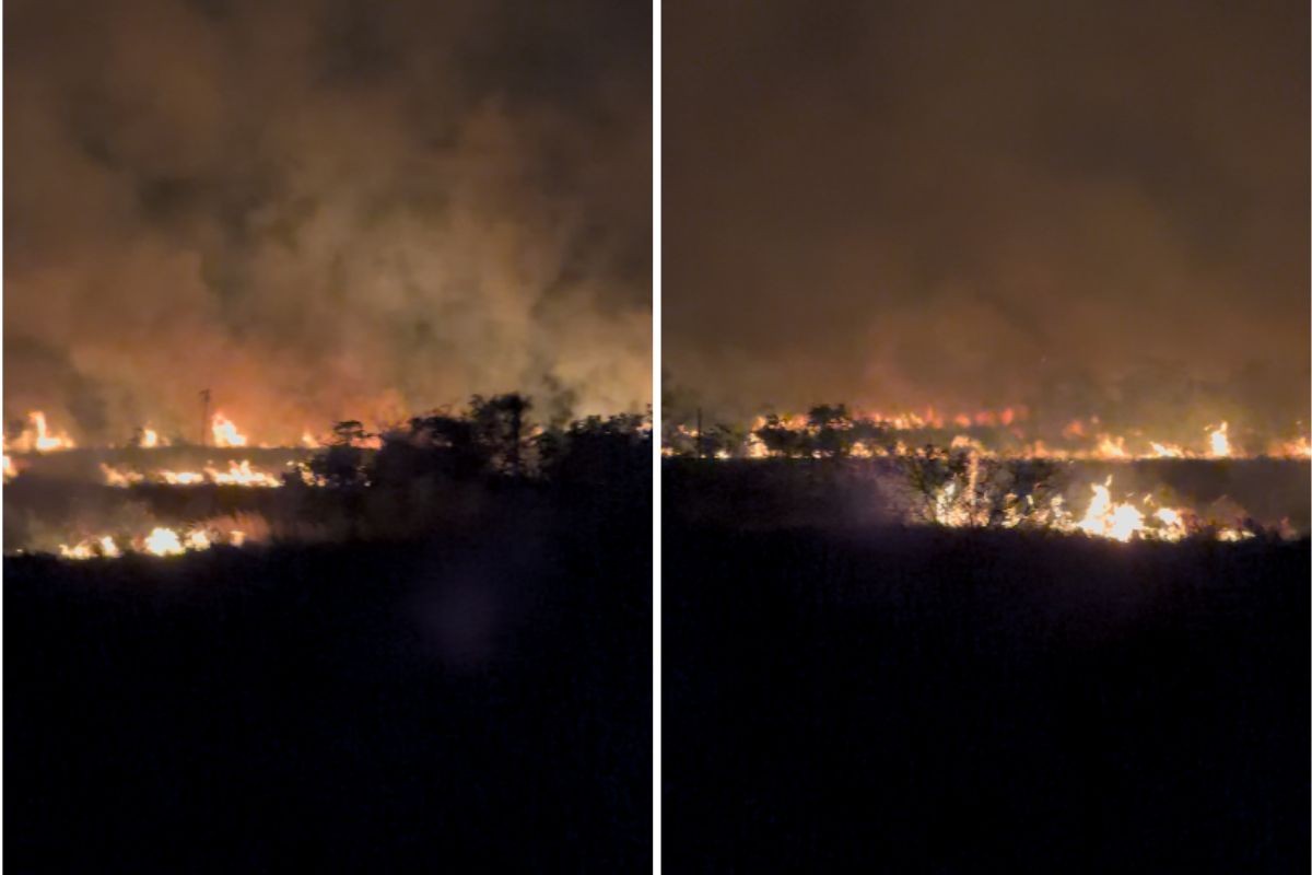 Incêndio de grandes proporções atinge fazendas e mobiliza bombeiros, exército e produtores em MS; VÍDEO