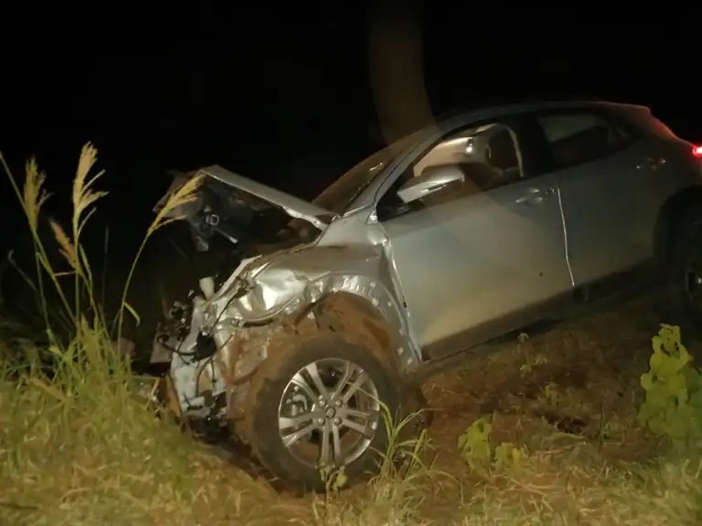 Carro ficou destruído em atropelamento de bovinos em Mariápolis (SP) — Foto: Diego Fernandes/Grupo Folha Regional