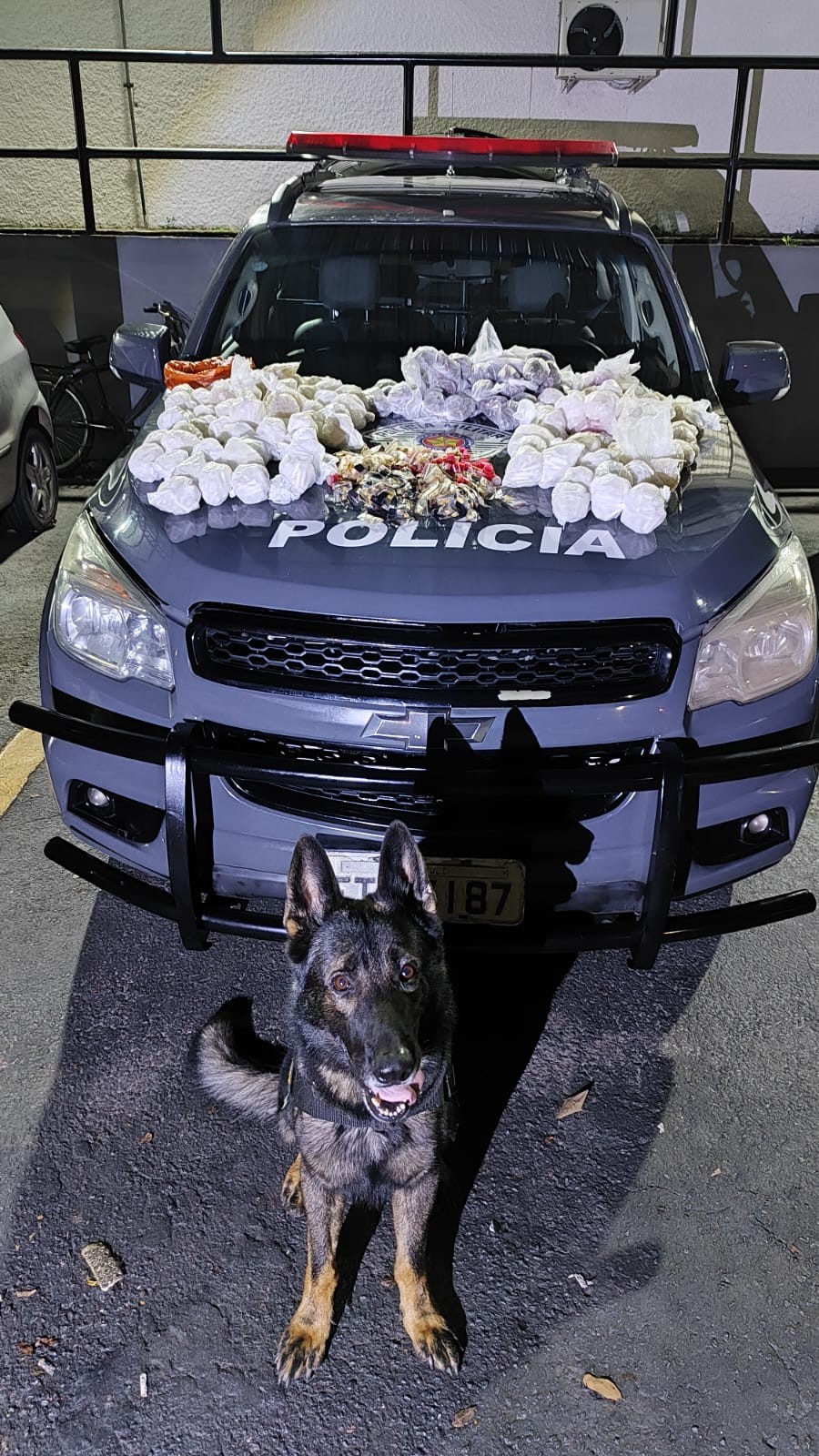 Com ajuda de cães farejadores, PM apreende 8,5 kg de drogas em área de mata na Zona Leste de São José dos Campos, SP