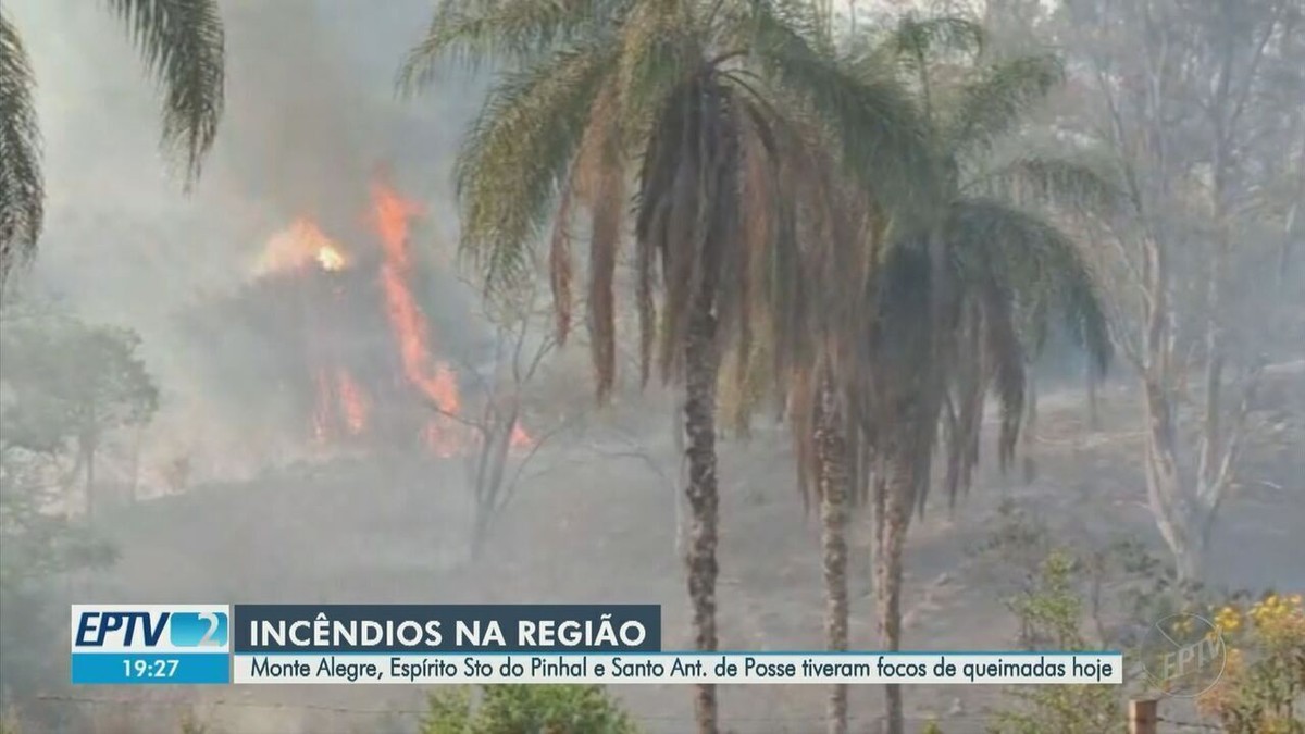 Com maioria dos focos no estado, região de Campinas tem sábado marcado por incêndios