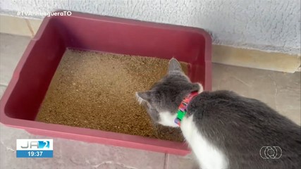 Confira os destaques do Jornal do Campo deste domingo (9)