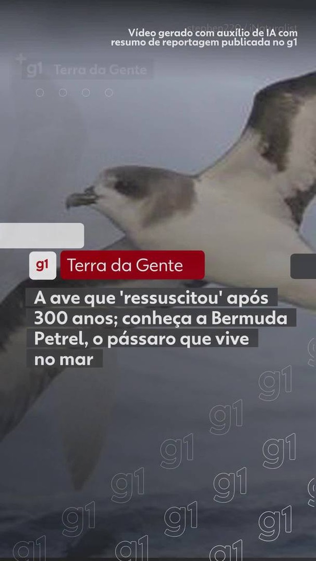 Filhote 'fantasma': mutação genética inédita em macaco é flagrada no Ceará; VÍDEO