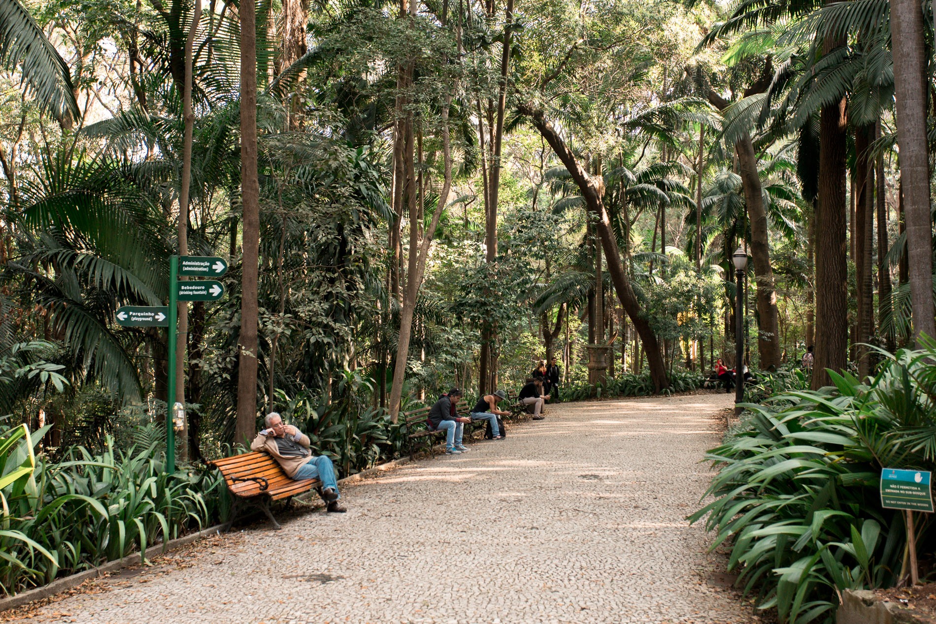 Primeiro restaurante da história do Parque Trianon divide opinião de frequentadores em SP; obra exigiu corte de quatro árvores