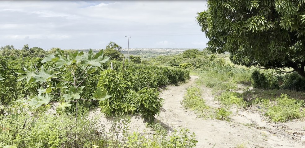 Local onde homem foi encontrado morto, na zona rural do Conde — Foto: Flávio Fernandes/TV Cabo Branco