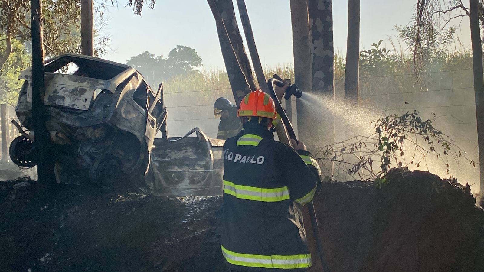 Carro bate em árvore, pega fogo e incendeia vegetação às margens de rodovia em Ibitinga