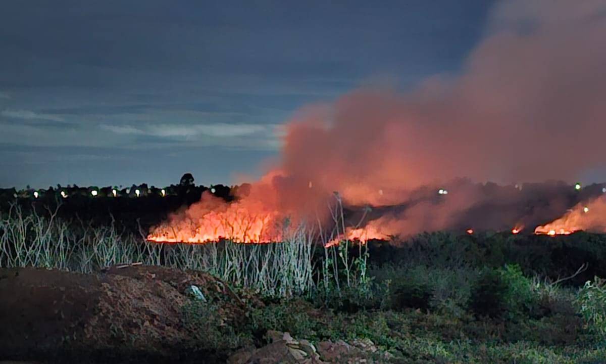 Incêndio em vegetação de lagoa assusta moradores de Feira de Santana